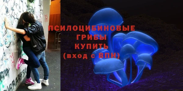 дживик Алексин
