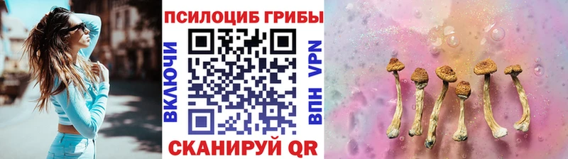 Галлюциногенные грибы Cubensis  Клин 