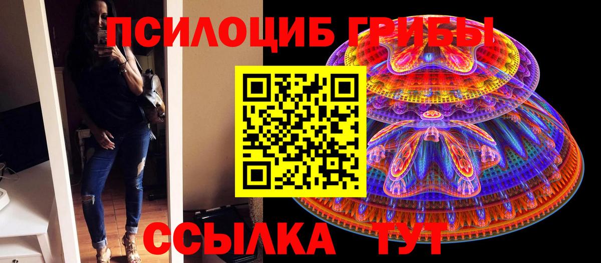 Клин  Псилоцибиновые грибы MAGIC MUSHROOMS  Вход с VPN  Псилоцибиновые грибы Psilocybine cubensis 